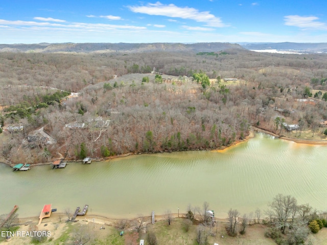128 Hart Orchard Rd, Kingston, TN 37763 - photo 37