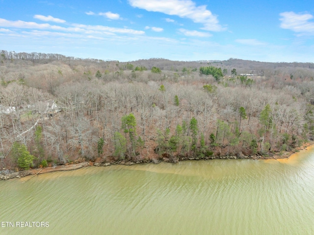 128 Hart Orchard Rd, Kingston, TN 37763 - photo 39