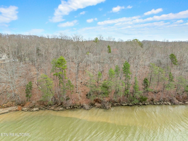 128 Hart Orchard Rd, Kingston, TN 37763 - photo 7