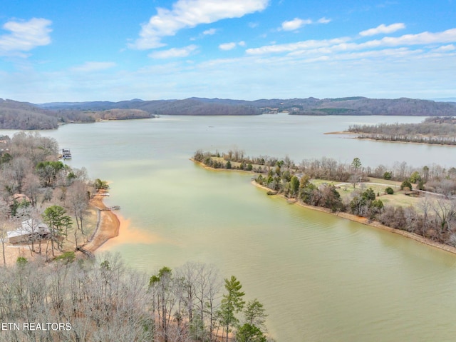 128 Hart Orchard Rd, Kingston, TN 37763 - photo 40