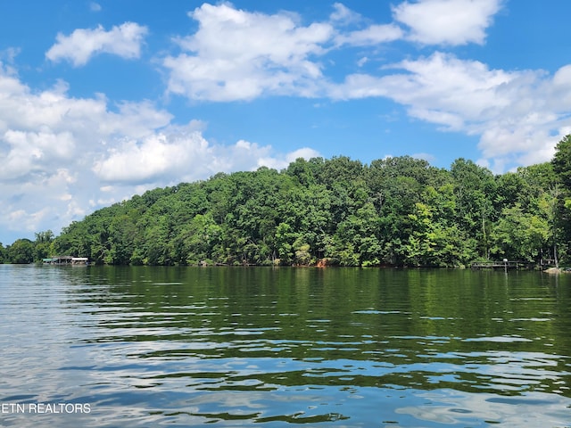 128 Hart Orchard Rd, Kingston, TN 37763 - photo 41