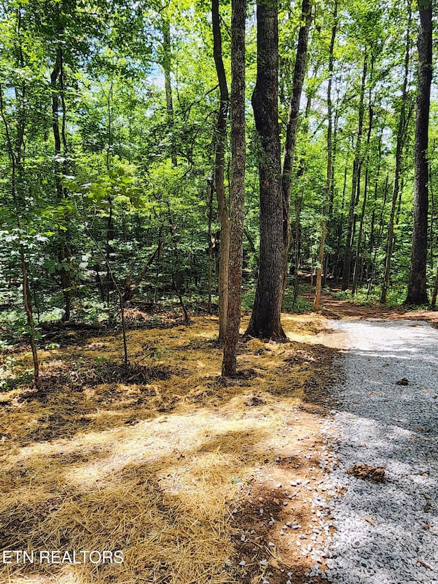 128 Hart Orchard Rd, Kingston, TN 37763 - photo 42