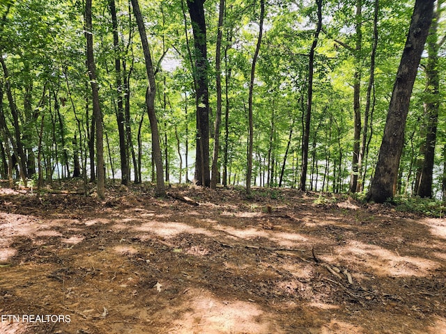 128 Hart Orchard Rd, Kingston, TN 37763 - photo 45