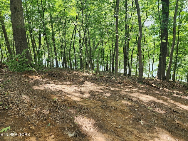 128 Hart Orchard Rd, Kingston, TN 37763 - photo 46