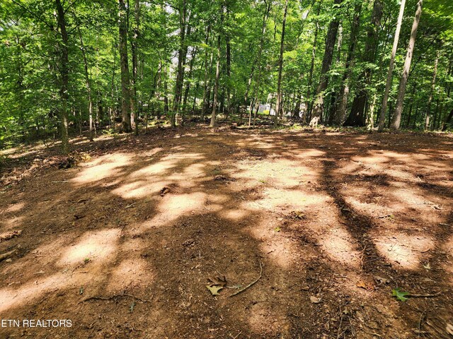 128 Hart Orchard Rd, Kingston, TN 37763 - photo 48