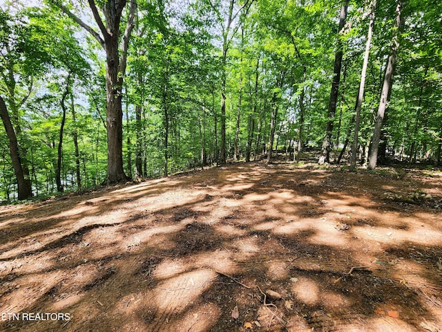 128 Hart Orchard Rd, Kingston, TN 37763 - photo 49