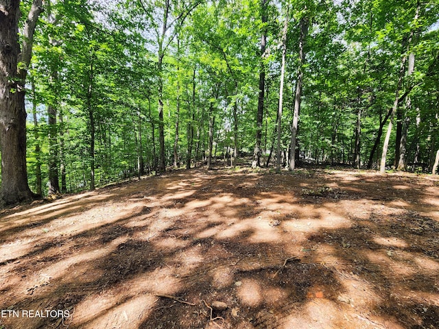 128 Hart Orchard Rd, Kingston, TN 37763 - photo 50