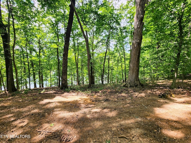 128 Hart Orchard Rd, Kingston, TN 37763 - photo 52