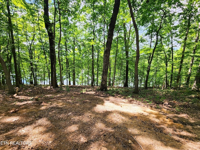 128 Hart Orchard Rd, Kingston, TN 37763 - photo 53