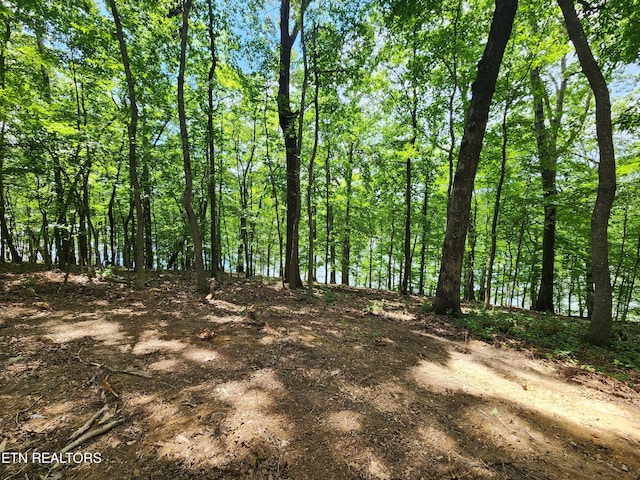 128 Hart Orchard Rd, Kingston, TN 37763 - photo 55