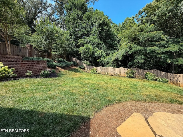 7016 Shady Knoll Ln, Knoxville, TN 37919 - photo 53