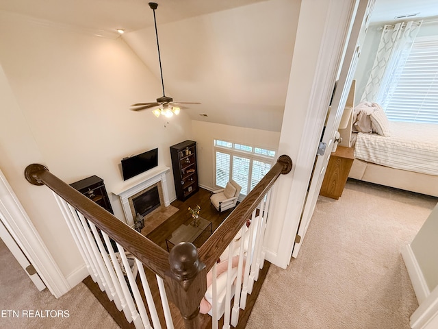 7016 Shady Knoll Ln, Knoxville, TN 37919 - photo 37