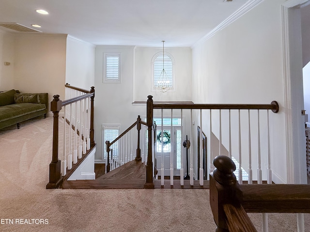 7016 Shady Knoll Ln, Knoxville, TN 37919 - photo 32