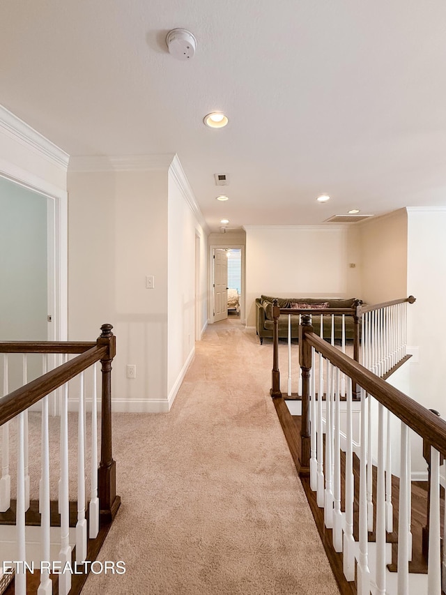 7016 Shady Knoll Ln, Knoxville, TN 37919 - photo 36