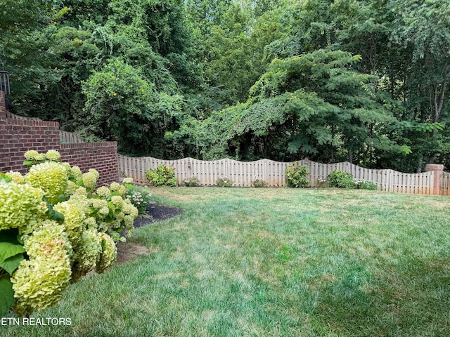 7016 Shady Knoll Ln, Knoxville, TN 37919 - photo 54