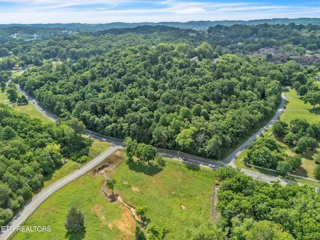 1770 Walters Dr, Morristown, TN 37814 - photo 6