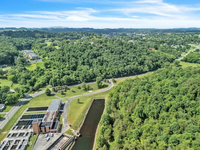 1770 Walters Dr, Morristown, TN 37814 - photo 5