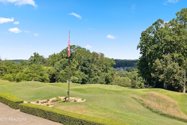 1026 Spy Glass Way, Knoxville, TN 37922 - photo 51