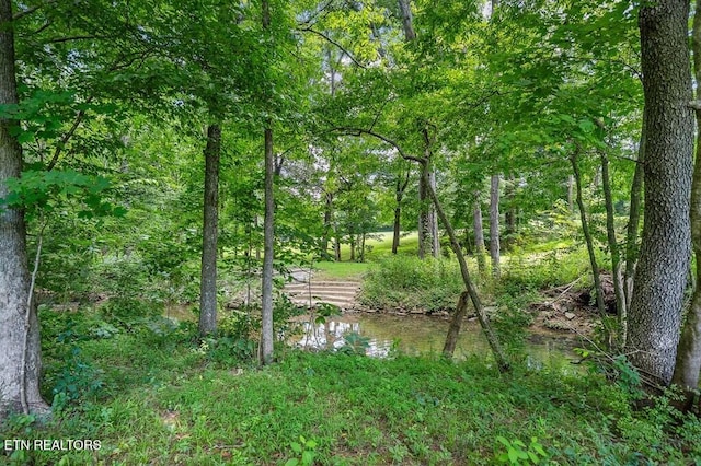 1737 Blackburn Fork Rd, Cookeville, TN 38501 - photo 47