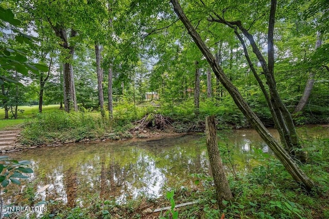1737 Blackburn Fork Rd, Cookeville, TN 38501 - photo 48