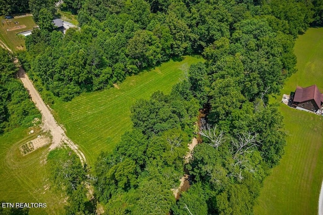 1737 Blackburn Fork Rd, Cookeville, TN 38501 - photo 58