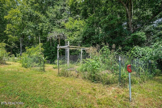 1737 Blackburn Fork Rd, Cookeville, TN 38501 - photo 59