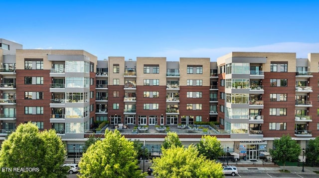 333 W Depot Ave Unit 210, Knoxville, TN 37917 - photo 1