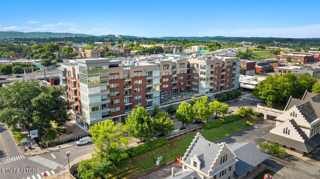 333 W Depot Ave Unit 210, Knoxville, TN 37917 - photo 46