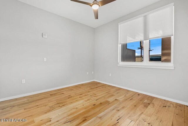 333 W Depot Ave Unit 210, Knoxville, TN 37917 - photo 27