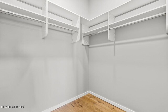 333 W Depot Ave Unit 210, Knoxville, TN 37917 - photo 29