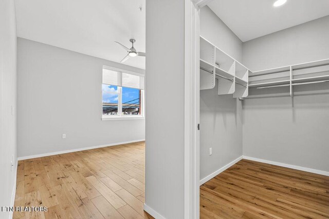 333 W Depot Ave Unit 210, Knoxville, TN 37917 - photo 20