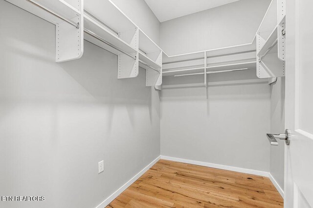 333 W Depot Ave Unit 210, Knoxville, TN 37917 - photo 21