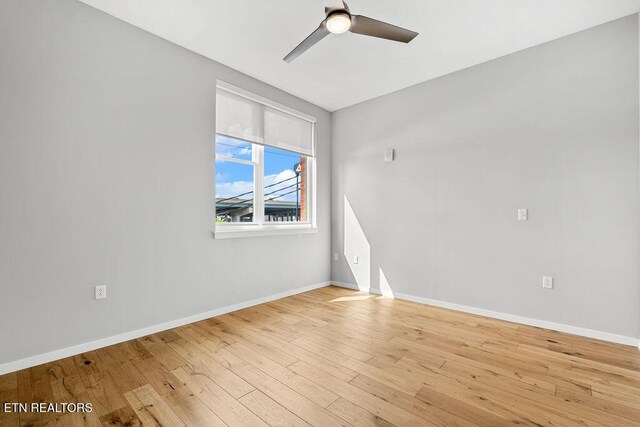 333 W Depot Ave Unit 210, Knoxville, TN 37917 - photo 19