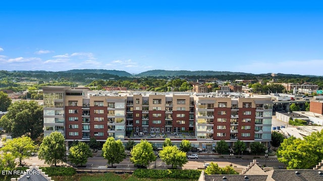 333 W Depot Ave Unit 210, Knoxville, TN 37917 - photo 3