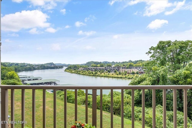 516 Riverfront Way, Knoxville, TN 37915 - photo 23