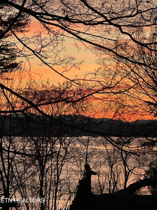 1750 Breezie Point Ln, Dandridge, TN 37725 - water view