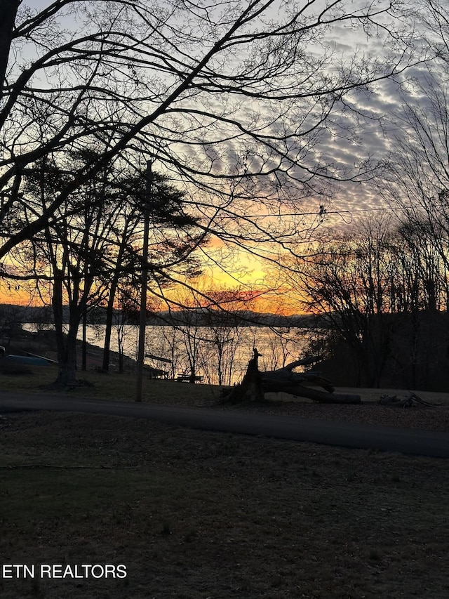 1750 Breezie Point Ln, Dandridge, TN 37725 - water view