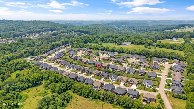 12025 Salt Creek Ln, Knoxville, TN 37932 - photo 39