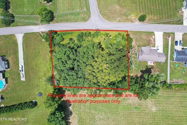 Storm Ln, Jacksboro, TN 37757