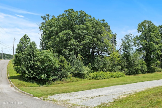 Storm Ln, Jacksboro, TN 37757