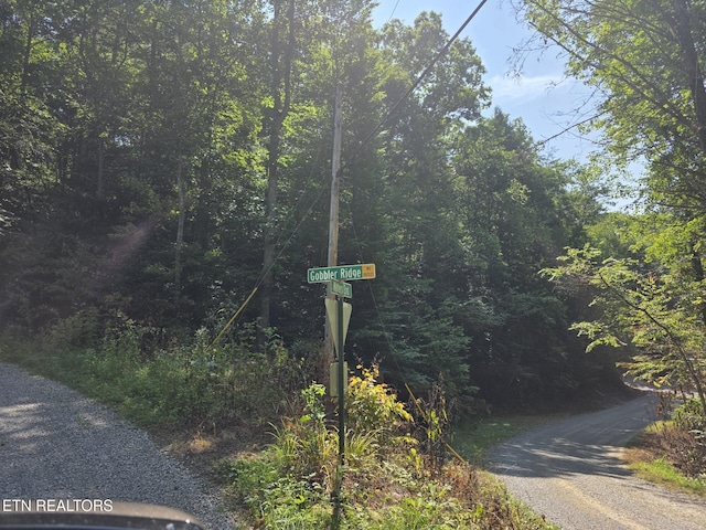 Waters End Rd, Walland, TN 37886 - photo 3