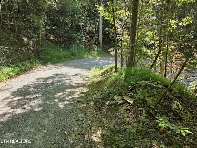 Waters End Rd, Walland, TN 37886 - photo 4