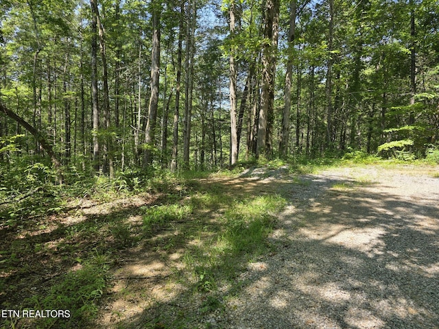 Waters End Rd, Walland, TN 37886 - photo 5