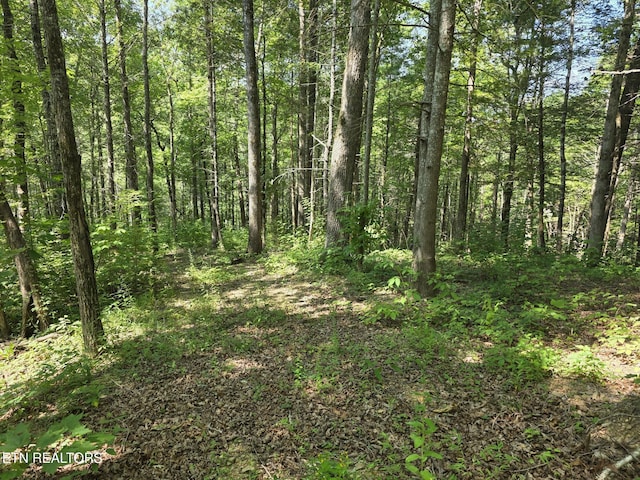 Waters End Rd, Walland, TN 37886 - photo 6