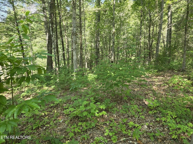 Waters End Rd, Walland, TN 37886 - photo 7