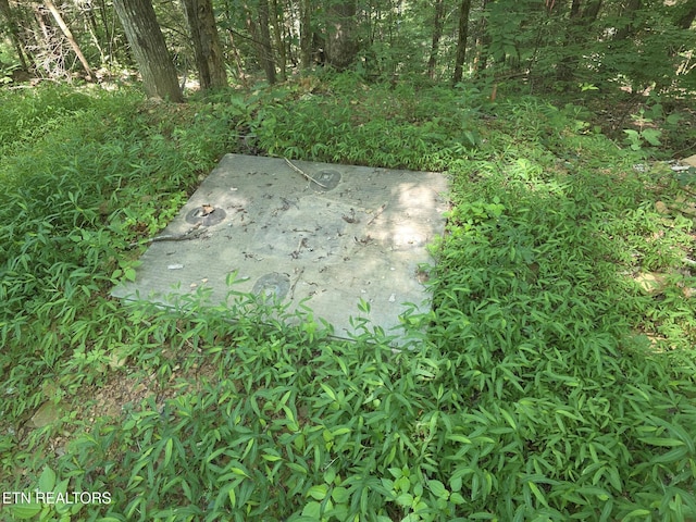 Waters End Rd, Walland, TN 37886 - photo 8