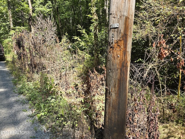 Waters End Rd, Walland, TN 37886 - photo 9