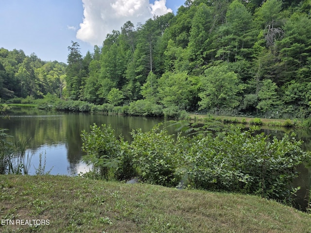 Waters End Rd, Walland, TN 37886 - photo 10