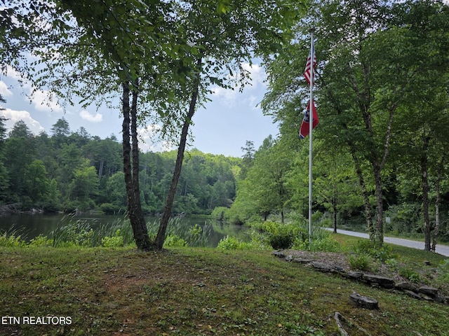 Waters End Rd, Walland, TN 37886 - photo 11