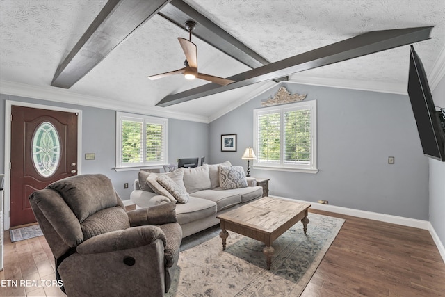 976 Lone Rd, Pioneer, TN 37847 - living room with ceiling fan, wood finished floors, and a textured ceiling